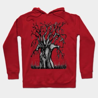 Red Baobab Artistic Line Drawing Hoodie